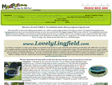Tablet Screenshot of lovelylingfield.com